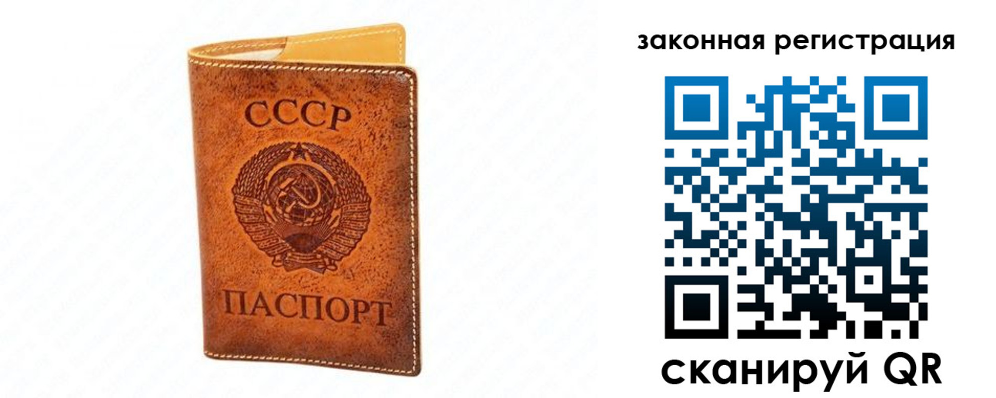 прописка паспорт в Полярных Зорях