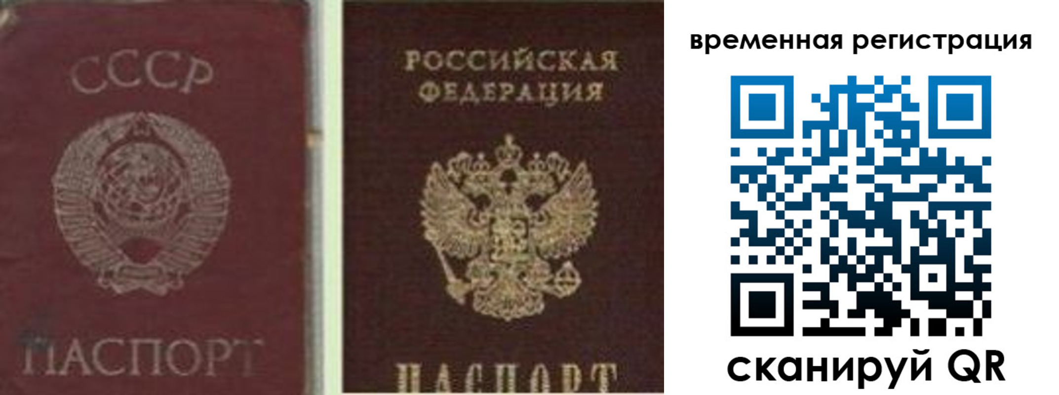 найти адрес прописки в Полярных Зорях